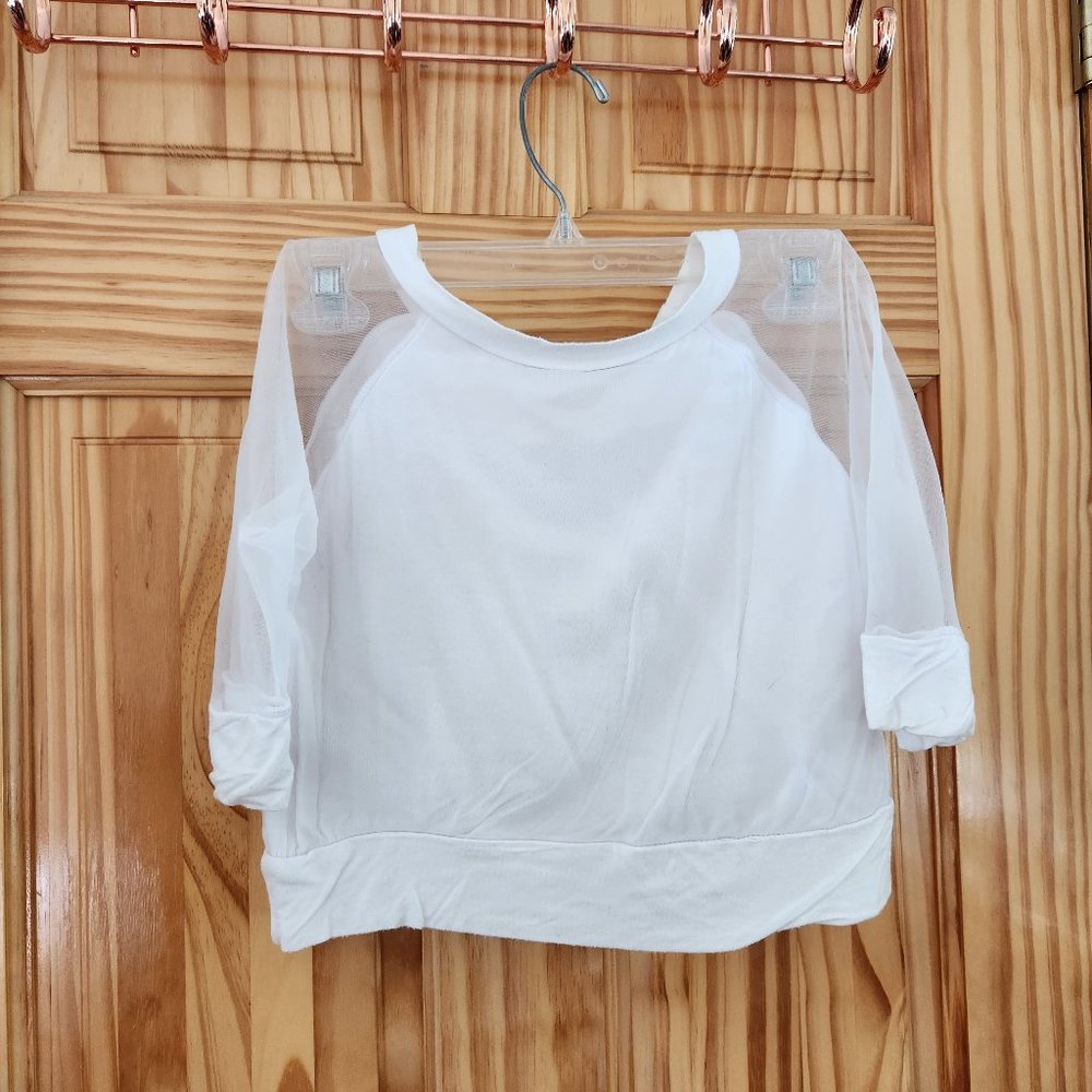 Sheer Sleeved White Crop Top